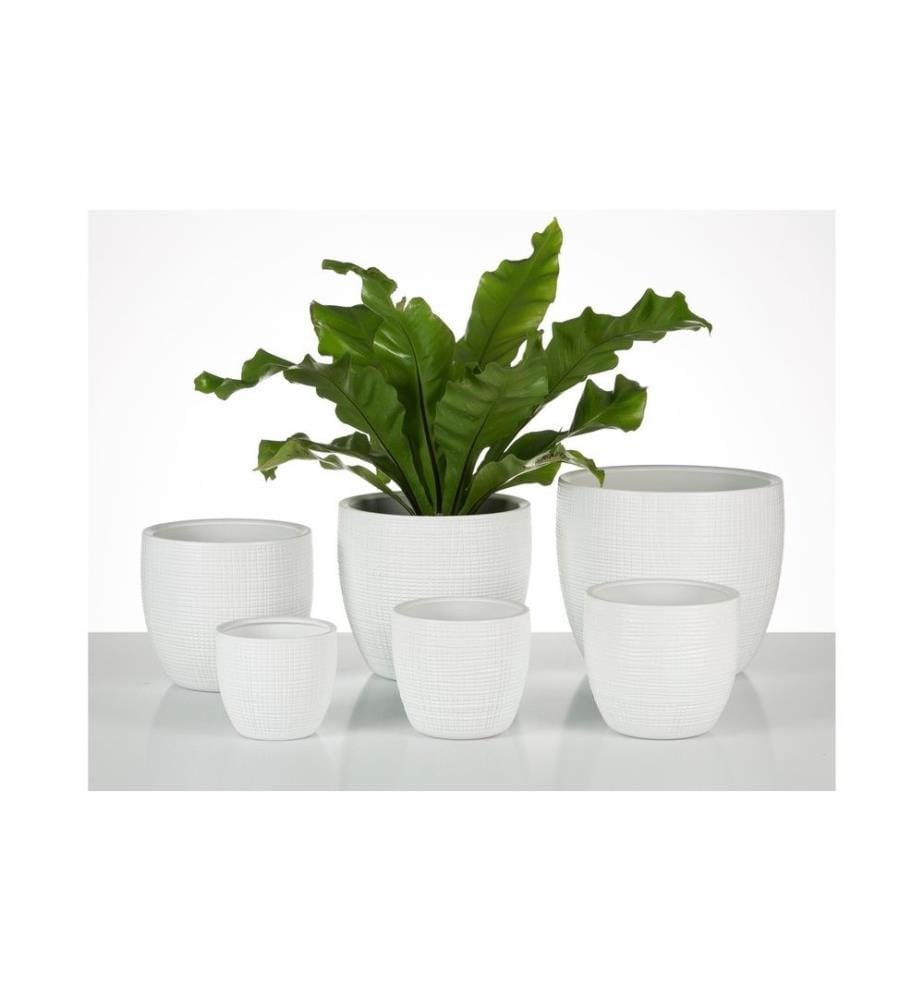 SCHEURICH - Pot de fleur Blanc Ø 17.7 cm