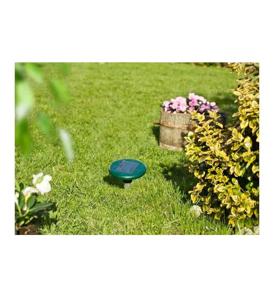 WINDHAGER - Répulseur d'animaux Le choc des campagnols 1 Pièce/s