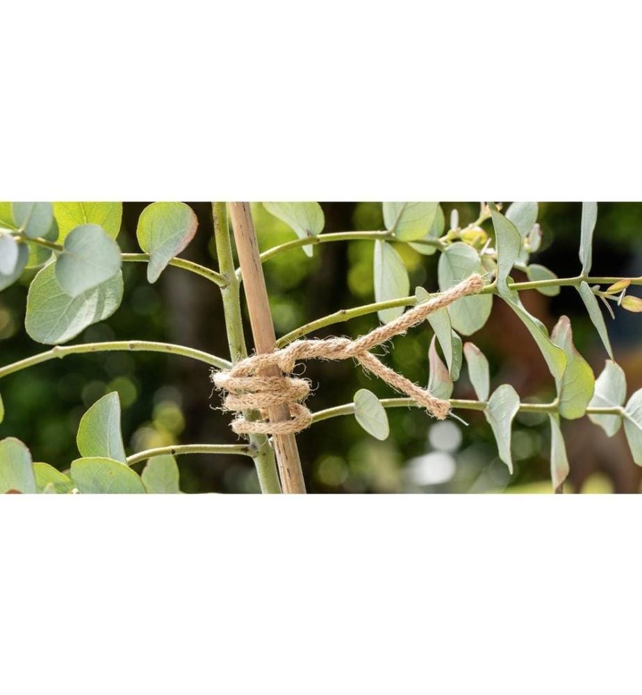 WINDHAGER - Bindedraht Jute, 3 m