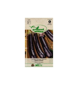 Samen Mauser - Semence Aubergine BIO Violetta di Rimini