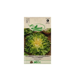 Samen Mauser - Semence Endive BIO Bubikopf 2