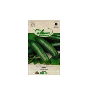 Samen Mauser - Semence Concombre BIO Paska F1