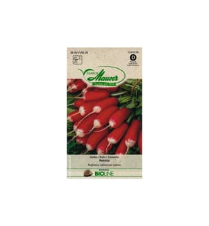 Samen Mauser - Semence Radis BIO Patricia