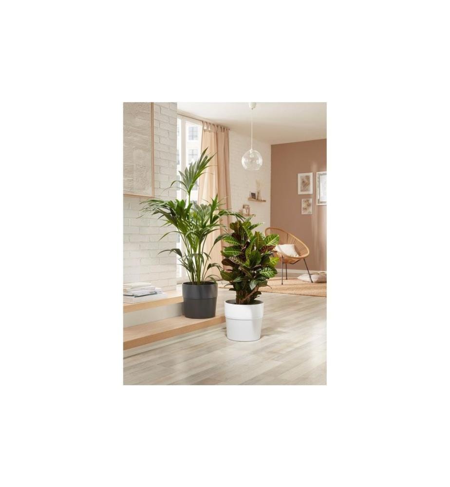 SCHEURICH - Blumentopf Groove 15.4 cm, Anthrazit