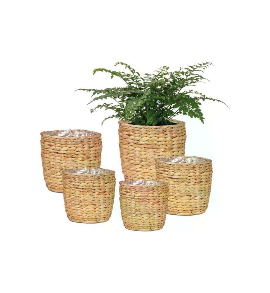 SCHEURICH - Pot de plantes avec film 18 x 16 cm, Nature