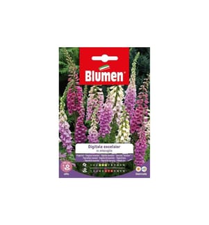 BLUMEN - Semence Digitale Excelsior Mix