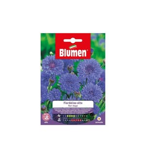 BLUMEN - Semence Bleuet double haut