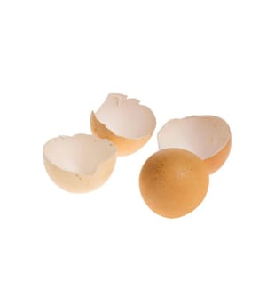 OPIFLOR - Osterei-Schale 200 g, Natur-Braun
