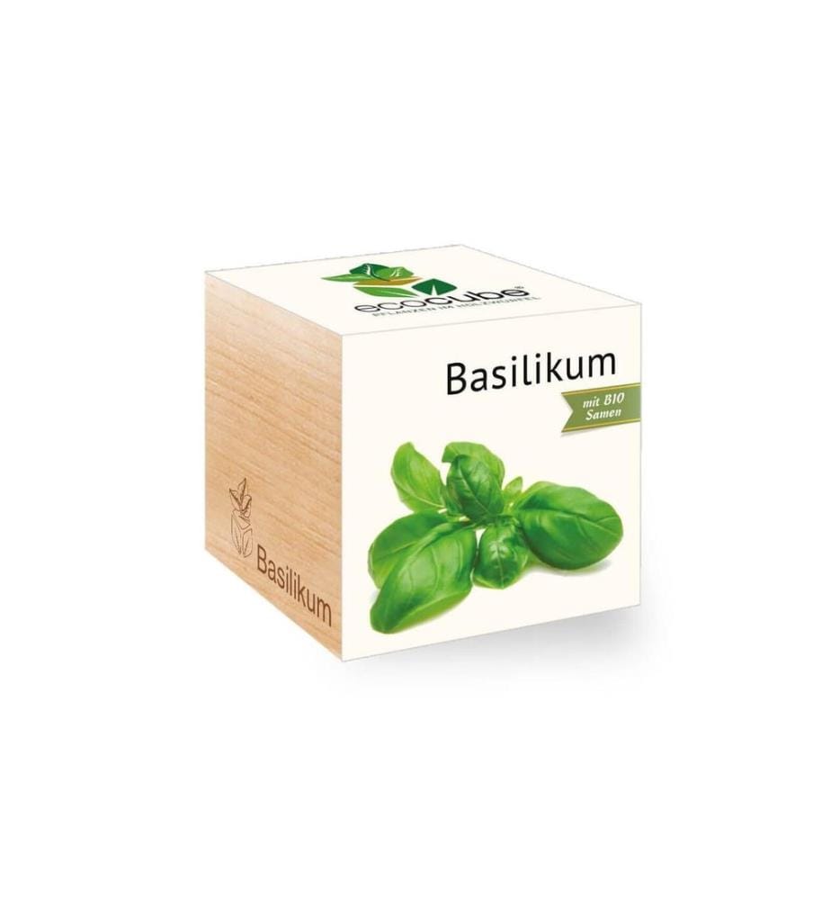 Feel Green - Ecocube Basilic BIO