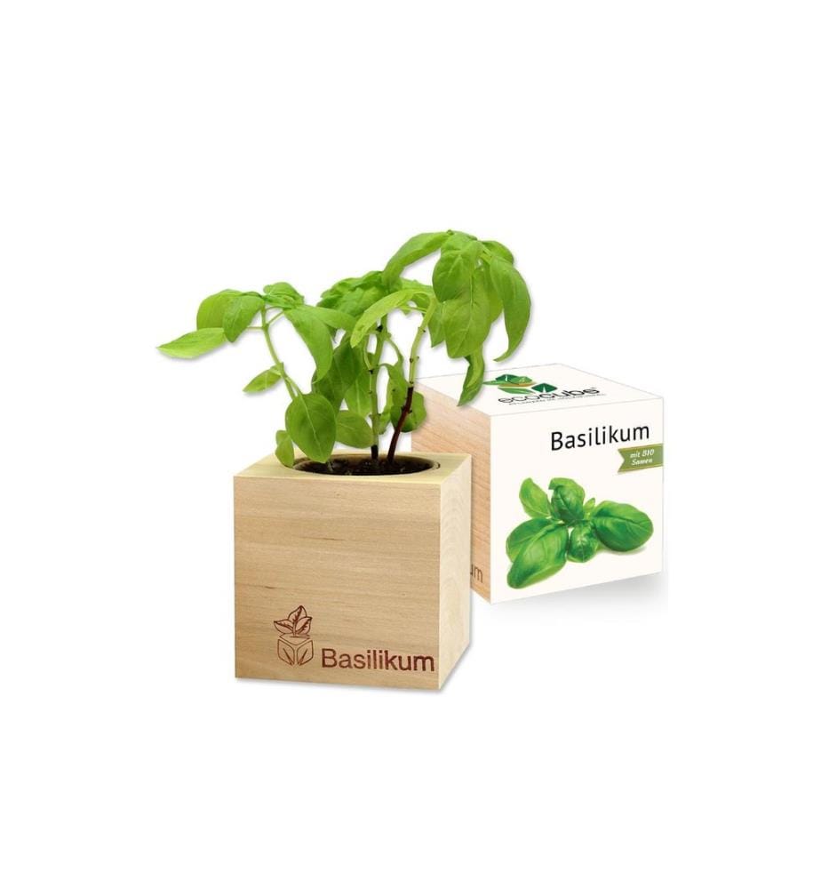 Feel Green - Ecocube Basilic BIO