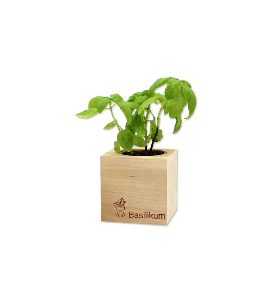 Feel Green - Ecocube Basilic BIO