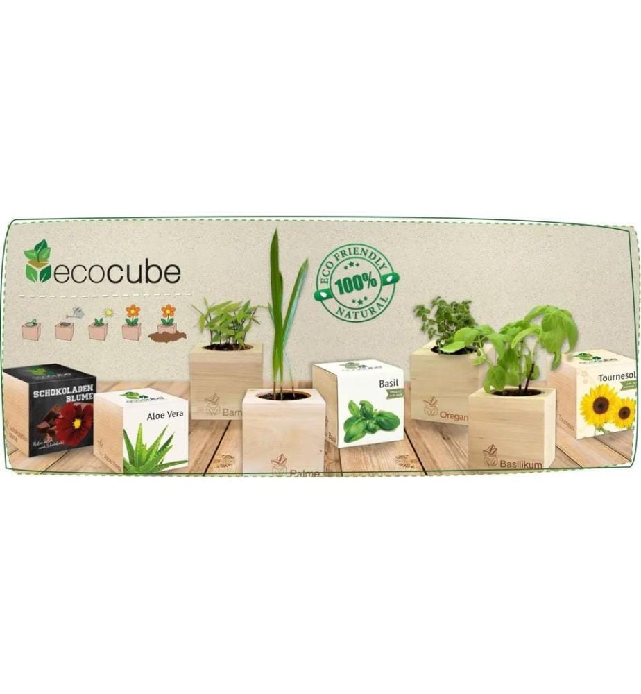 Feel Green - Ecocube Basilic BIO