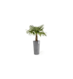 ECOPOTS - Pot de fleur Amsterdam High Ø 76 cm Gris clair