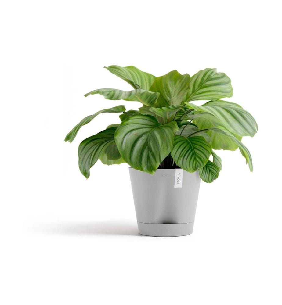 ECOPOTS - Pot de fleur Venice 2 Ø 30 cm Gris clair