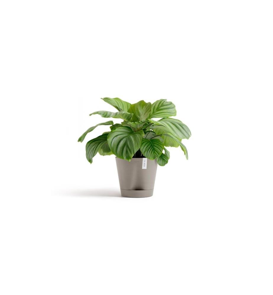 ECOPOTS - Blumentopf Venice 2 Ø 30 cm Taupe