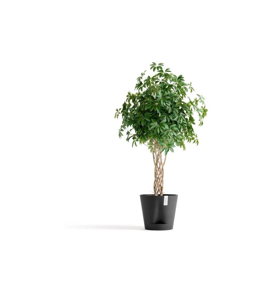 ECOPOTS - Blumentopf Venice 2 Ø 40 cm Dunkelgrau