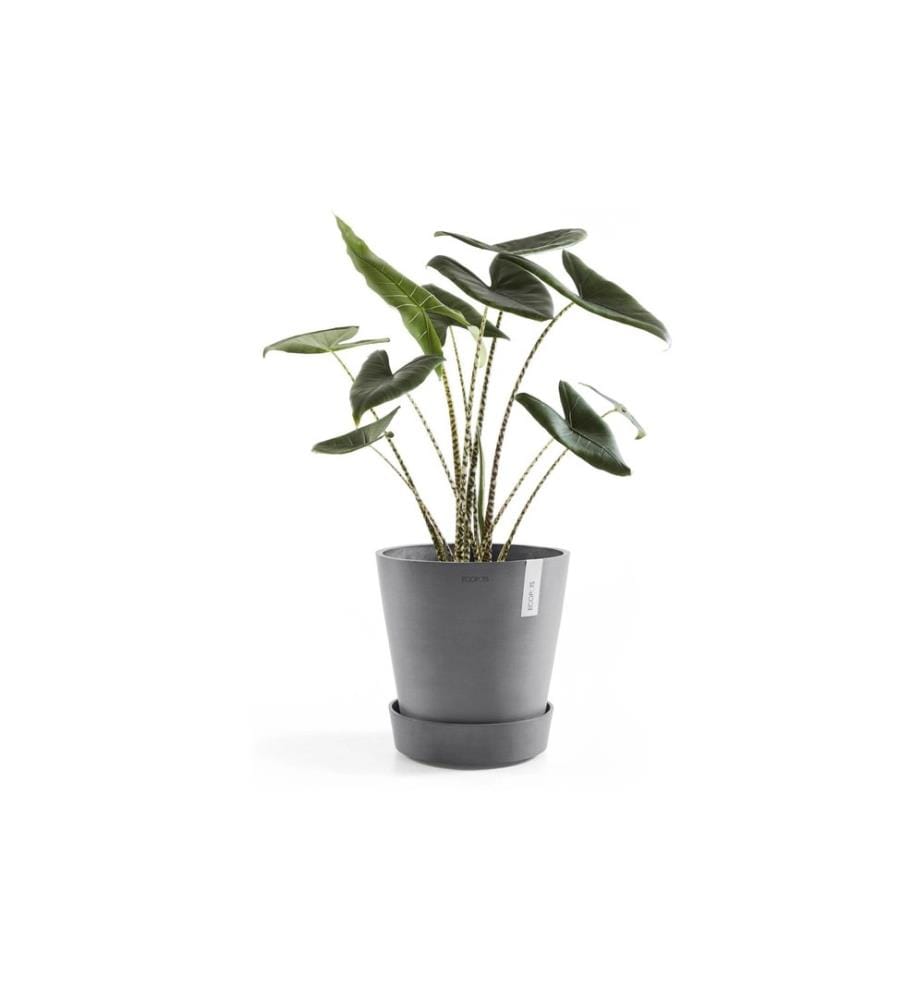 ECOPOTS - Soucoupe Saucer Wheels Ø 29 cm Grey