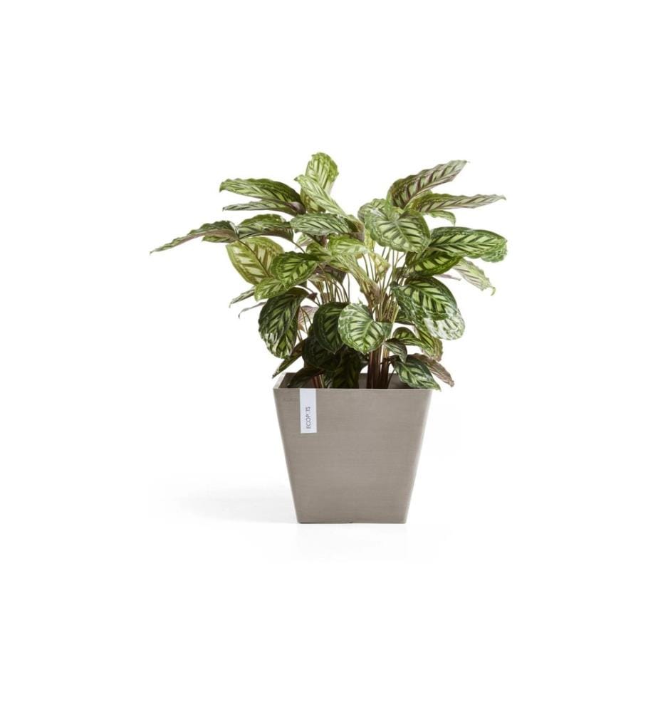 ECOPOTS - Blumentopf Rotterdam Ø 40 cm Taupe