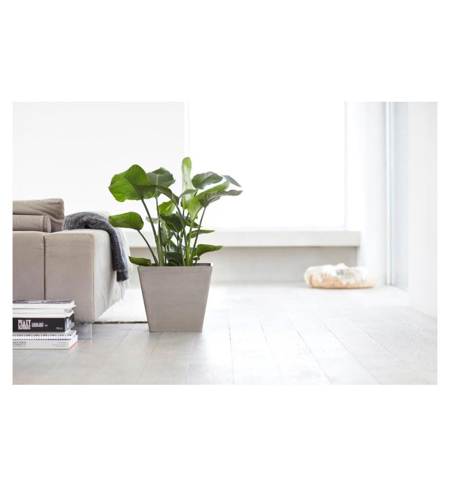 ECOPOTS - Blumentopf Rotterdam Ø 40 cm Taupe