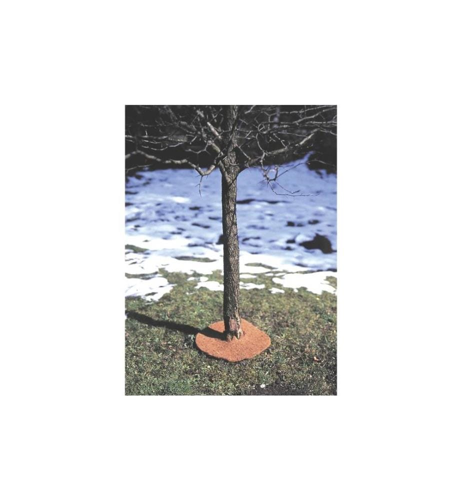 WINDHAGER - Kokos-Winterschutz-Matte