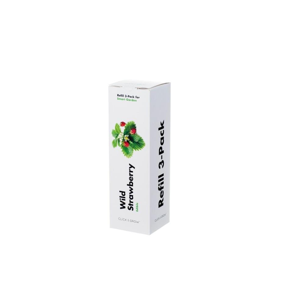 CLICK AND GROW - Semence fraise des bois
