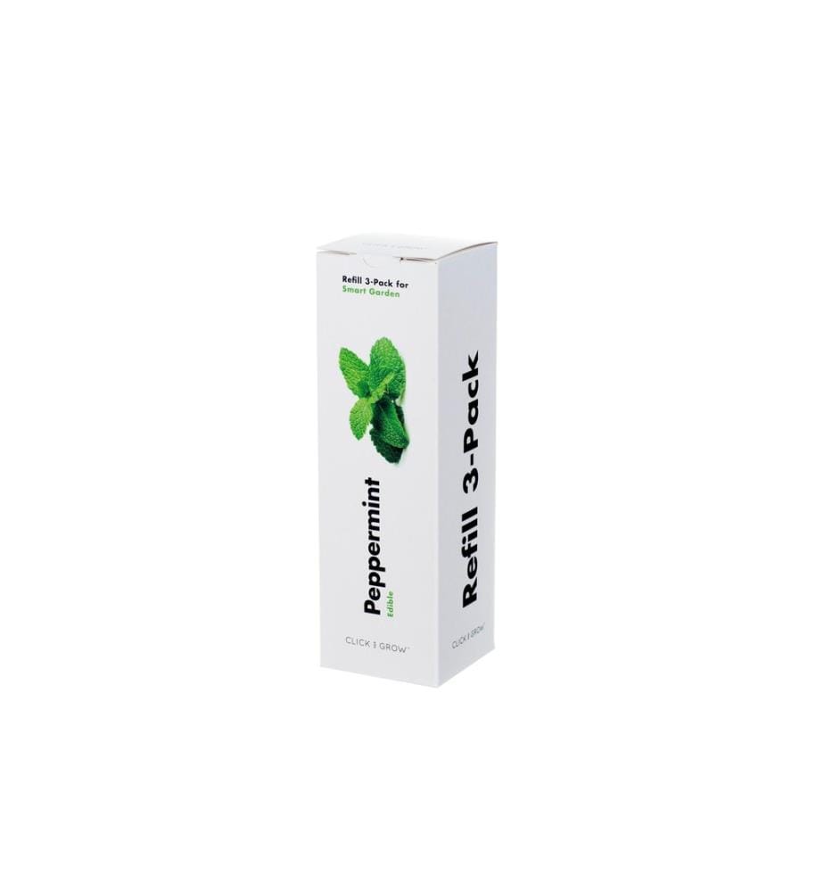 CLICK AND GROW - Samen Pfefferminze