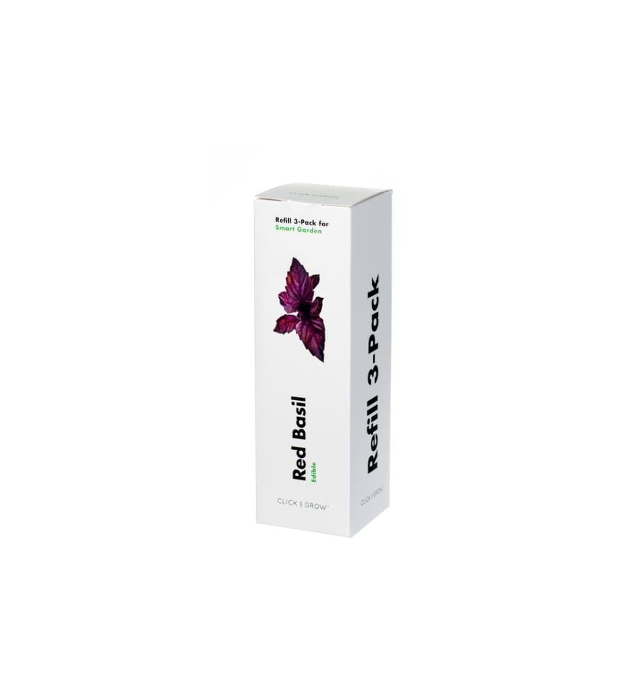 CLICK AND GROW - Semence basilic rouge
