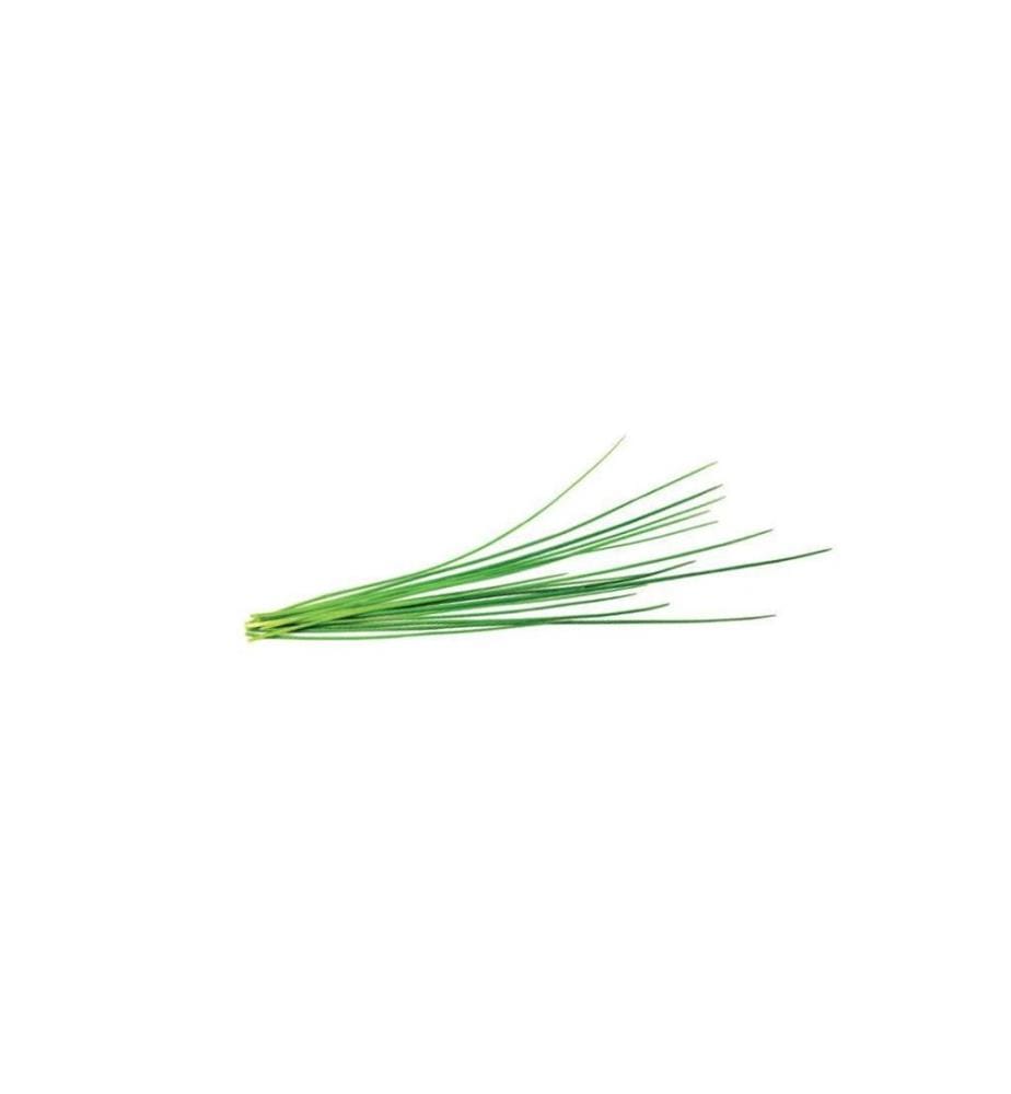 CLICK AND GROW - Semence ciboulette