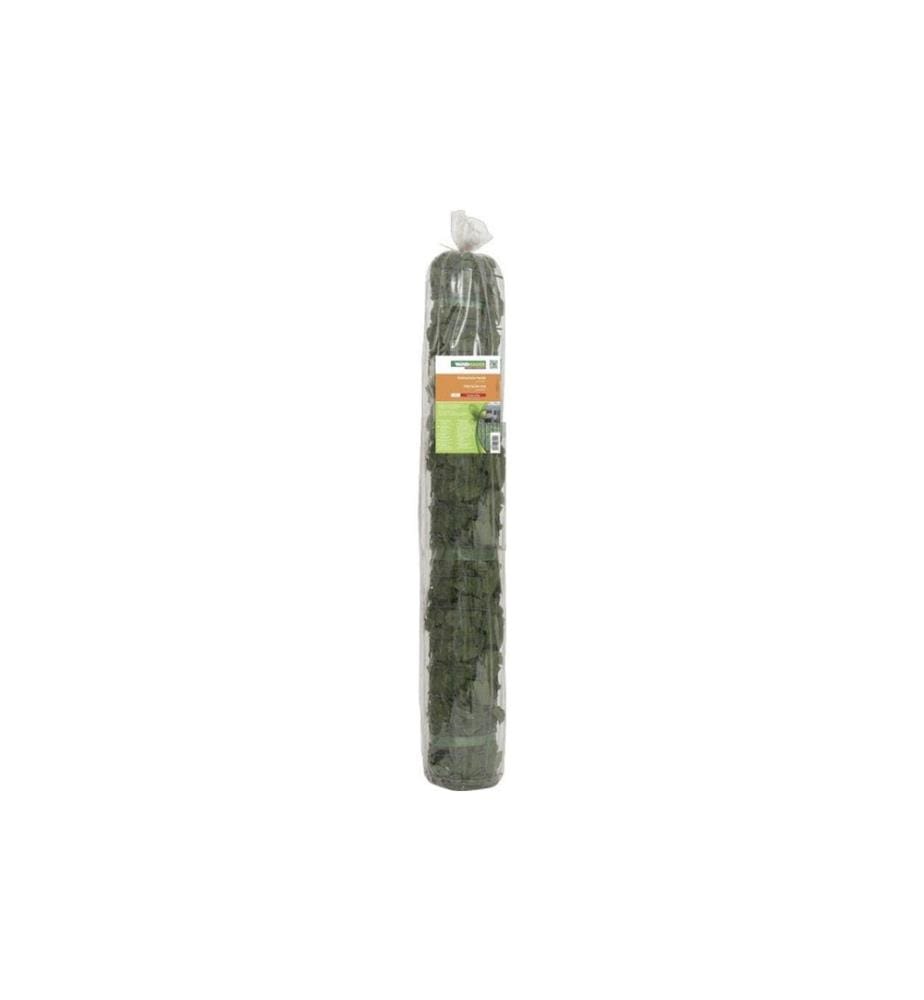 WINDHAGER - Protection contre les regards Haies érable 1.5x3m vert