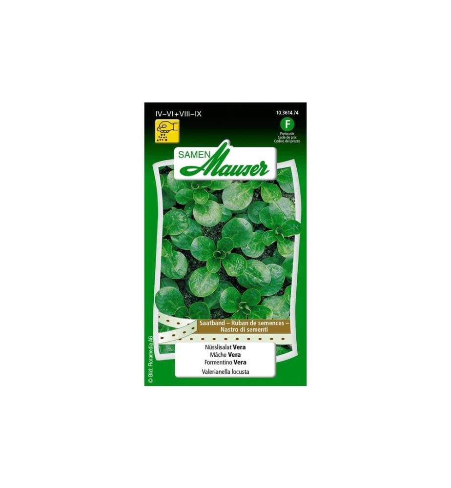 Samen Mauser - Ruban de semence Urban Gardening Salade de noix Vera