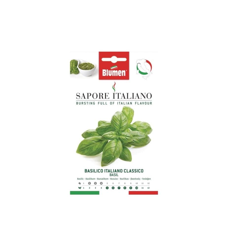 BLUMEN - Semence Basilic Italiano Classico