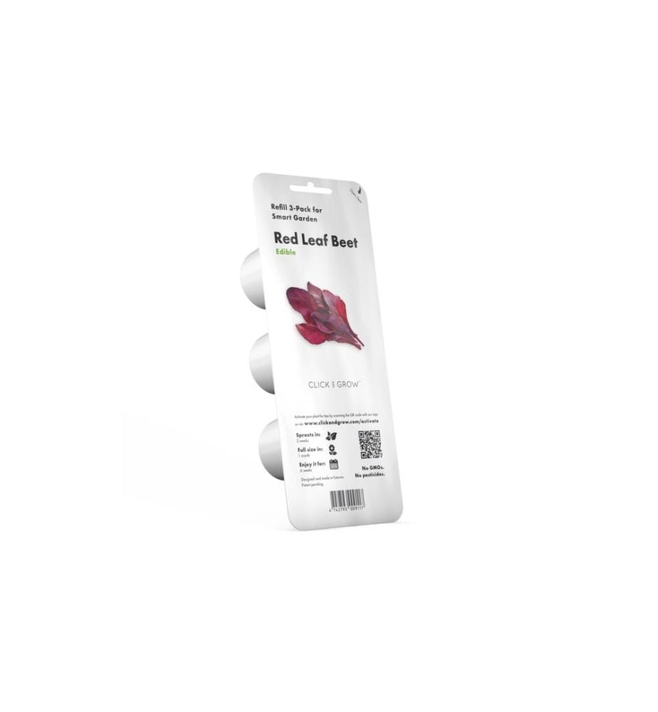 CLICK AND GROW - Semence Bette à carde rouge