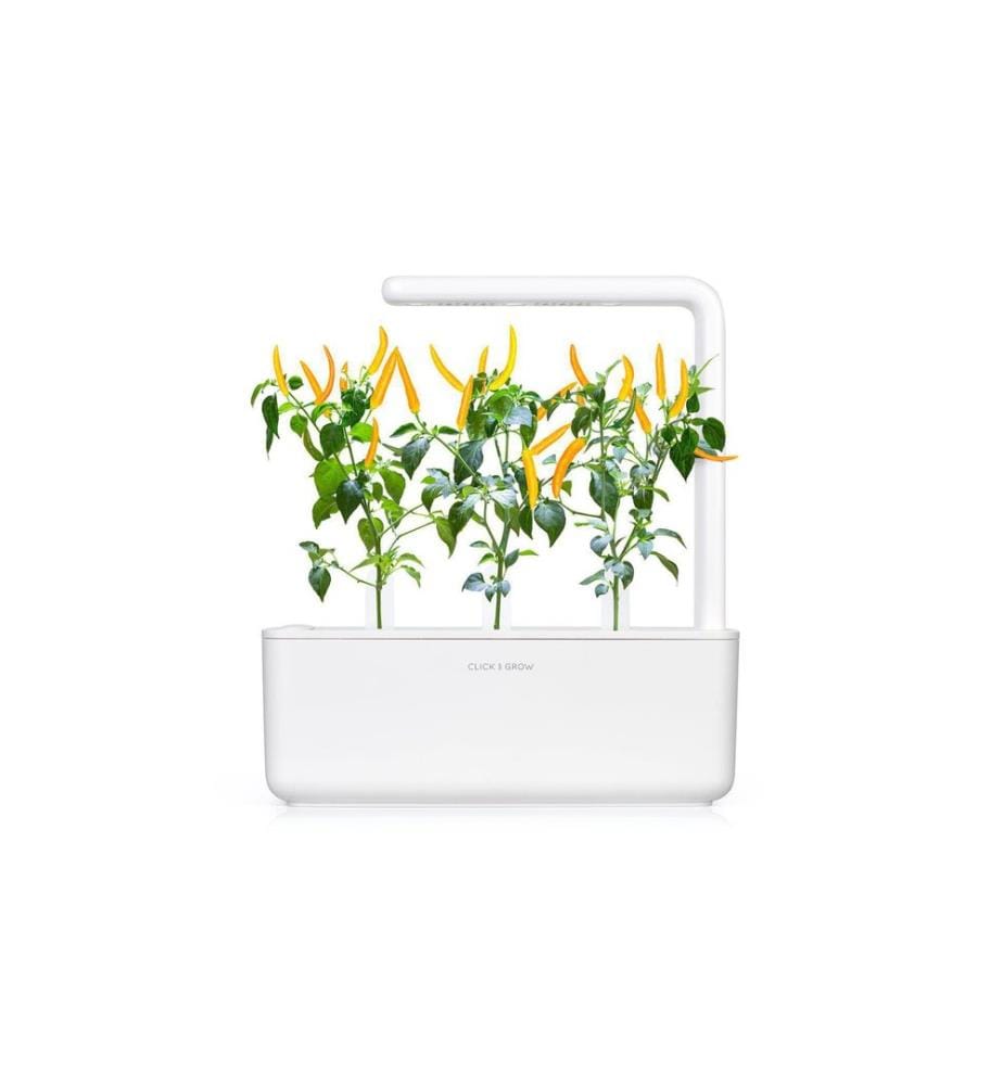 CLICK AND GROW - Semence Piment jaune