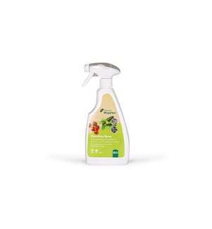 Andermatt Biogarten Spray de protection des plantes BIO MycoStop, 500 ml