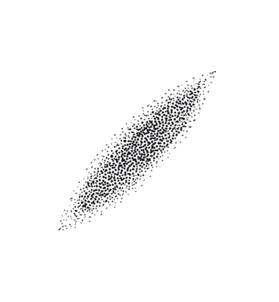 Birchmeier Buse jet plat pour Profi Star 5