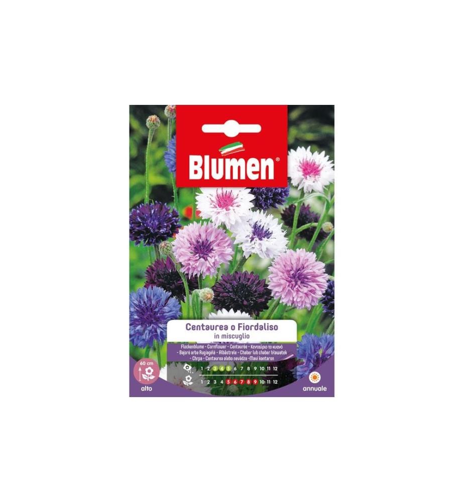 Blumen Saatgut Kornblume Mix
