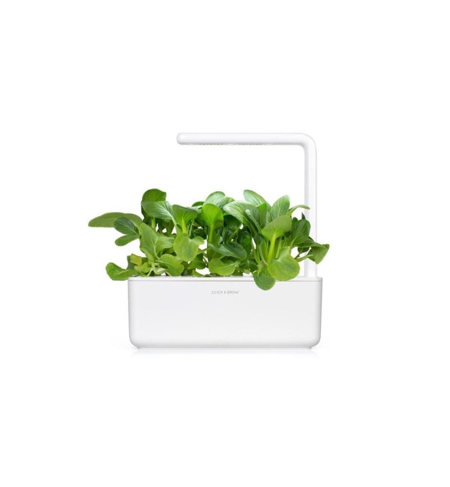 Click and Grow Lot de graines Pak Choi