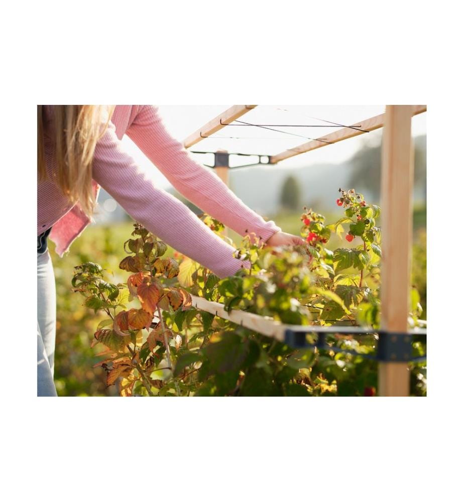 Gusta Garden BERRY BUDDY modulare Beerenrankhilfe Braun