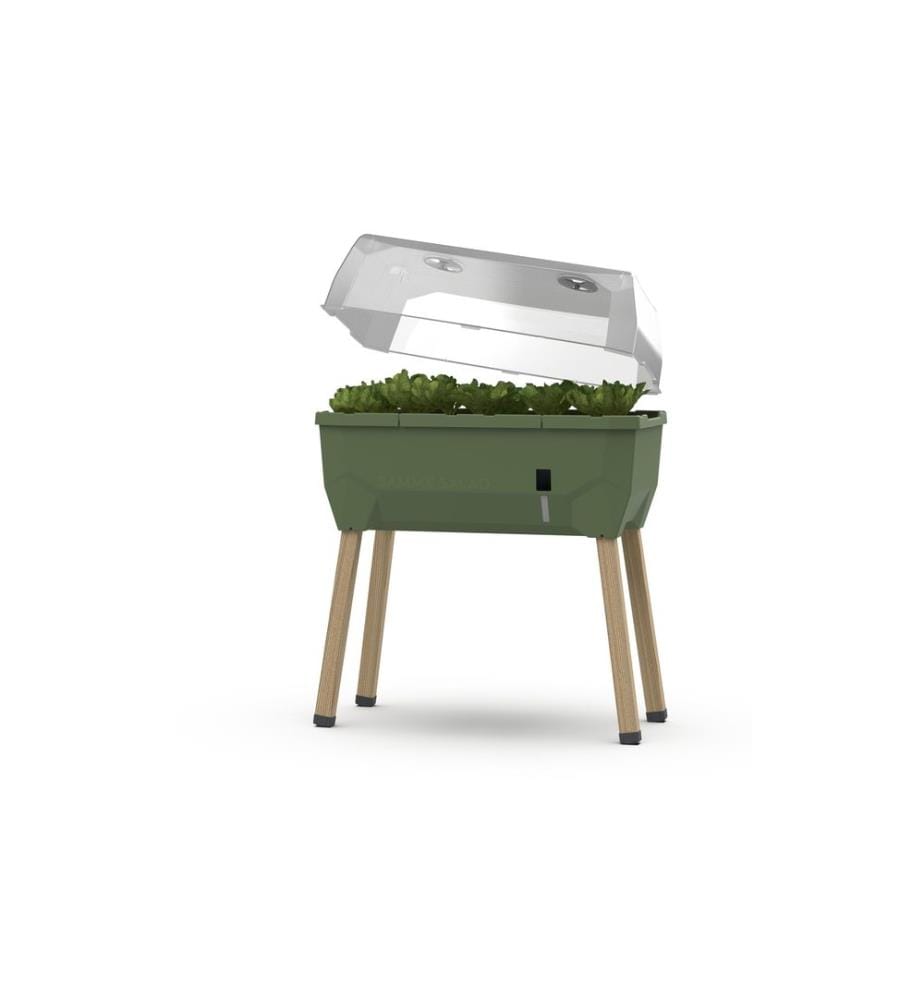 Gusta Garden Deckel zu SAMMY SALAD Transparent