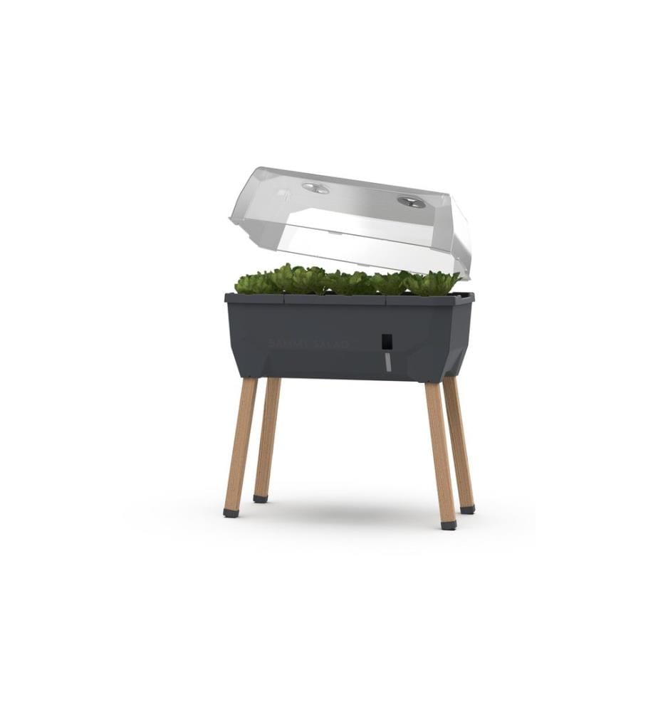 Gusta Garden Deckel zu SAMMY SALAD Transparent