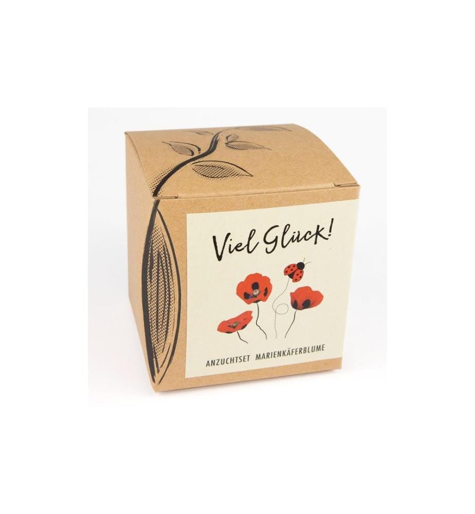 Naturkraftwerk Kit de semis Bonne chance avec coquelicot coccinelle