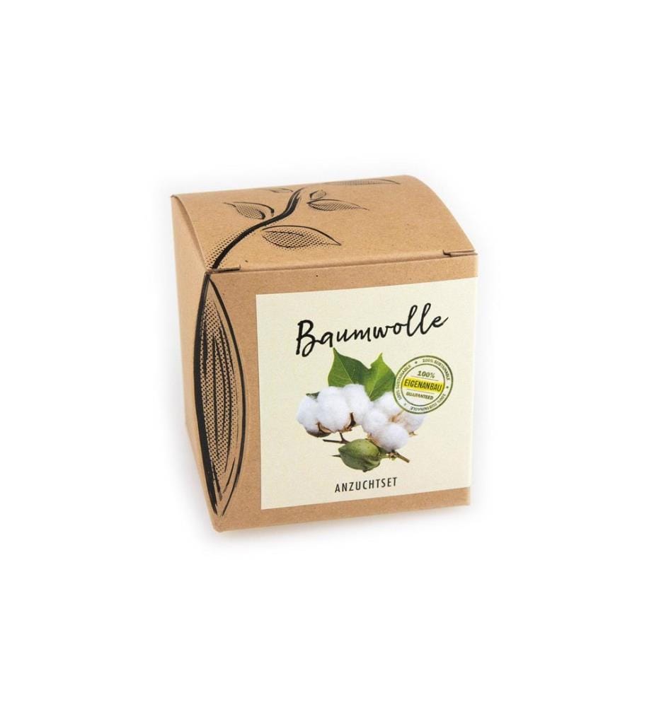 Kit de semis Naturkraftwerk Graines de cotonniers