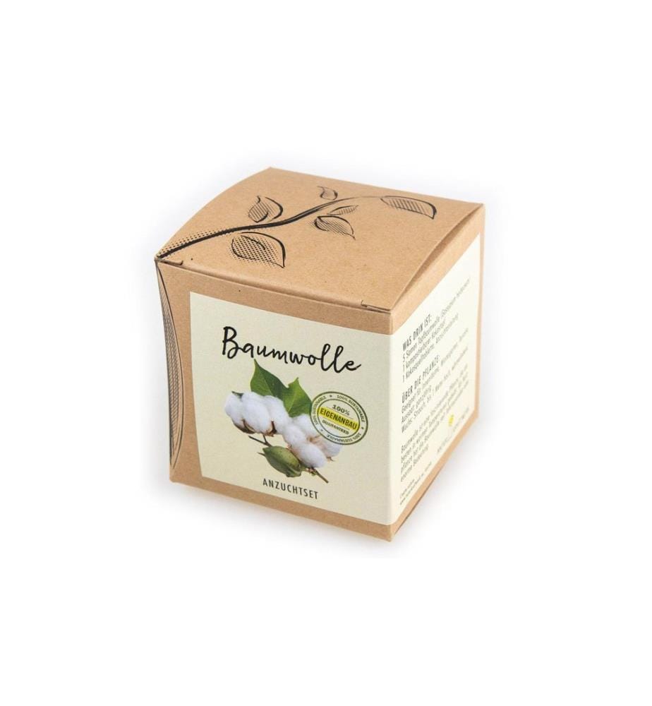Kit de semis Naturkraftwerk Graines de cotonniers