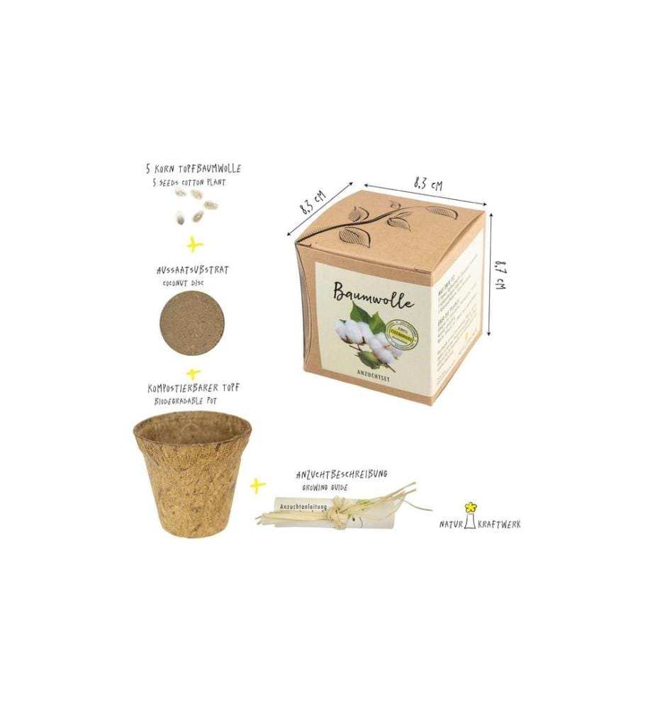 Kit de semis Naturkraftwerk Graines de cotonniers