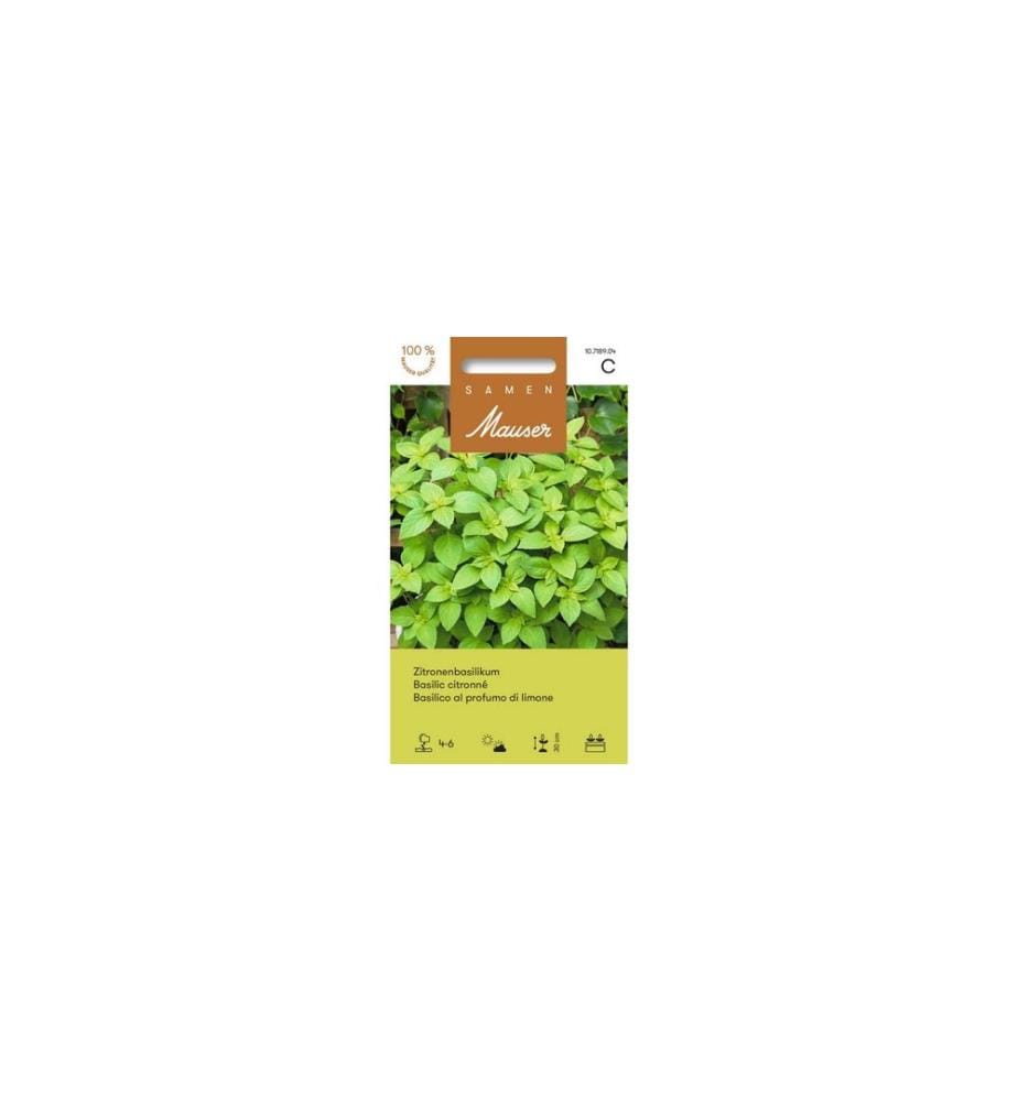 Graines Mauser Basilic citron