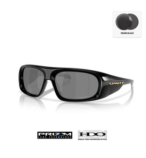 Belleville Sunglasses - Black and Prizm Black