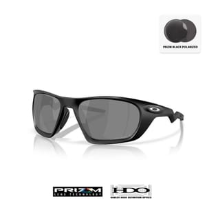 Polarized Lateralis Sunglasses - Black