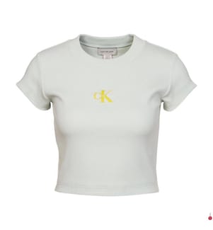 Crop-Top - Gris Clair