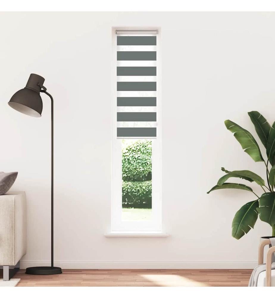 Doppelrollo Dunkelgrau 50x200 cm Stoffbreite 45,9 cm Polyester