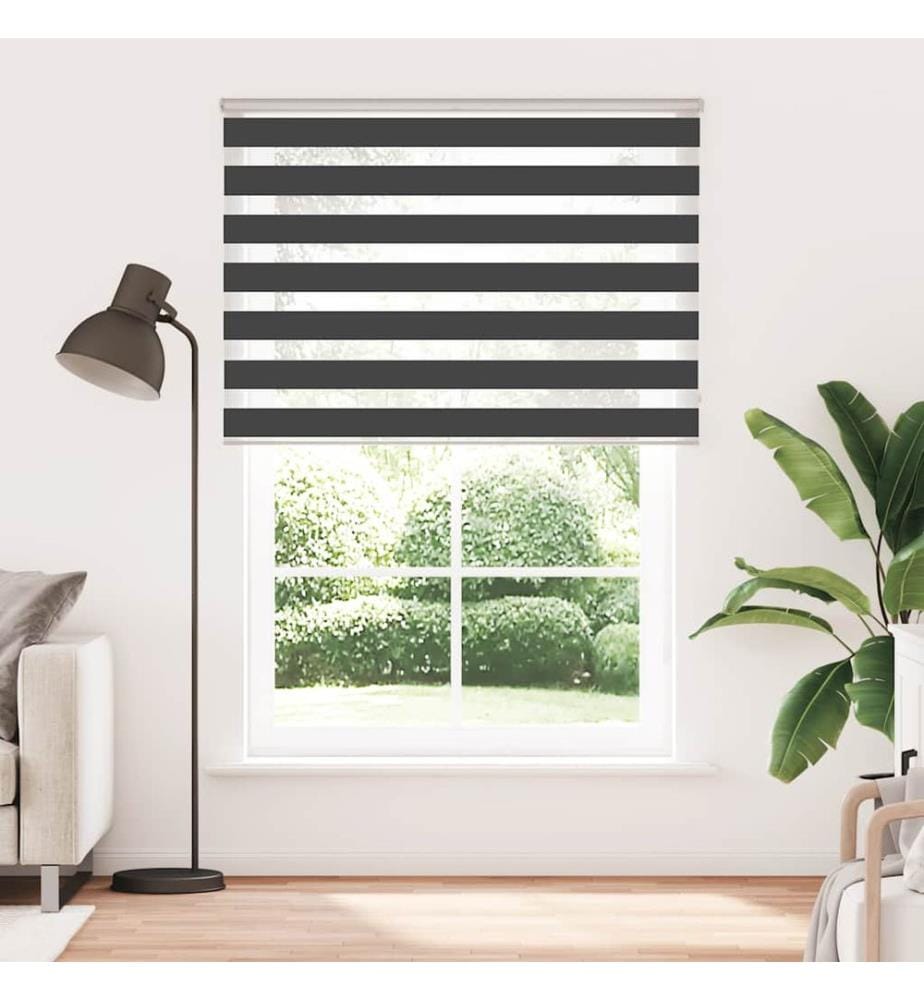 Doppelrollo Schwarz 160x200 cm Stoffbreite 155,9 cm Polyester